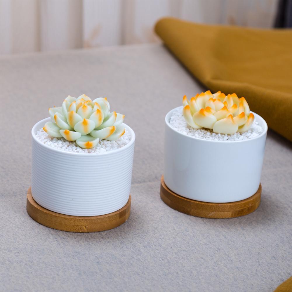 Short Cylinder White Porcelain Pot with Bamboo Saucer