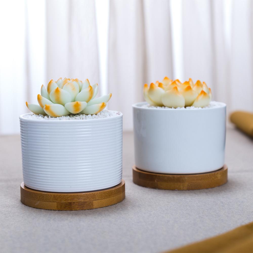 Short Cylinder White Porcelain Pot with Bamboo Saucer