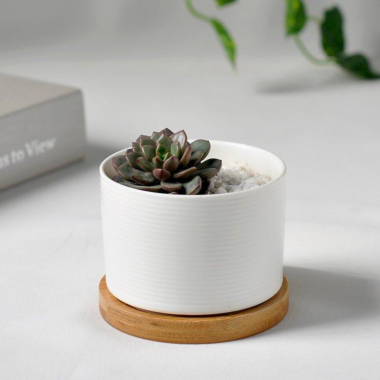Short Cylinder White Porcelain Pot with Bamboo Saucer