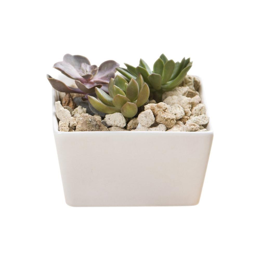 Square Edge Porcelain Ceramic Desk Pot