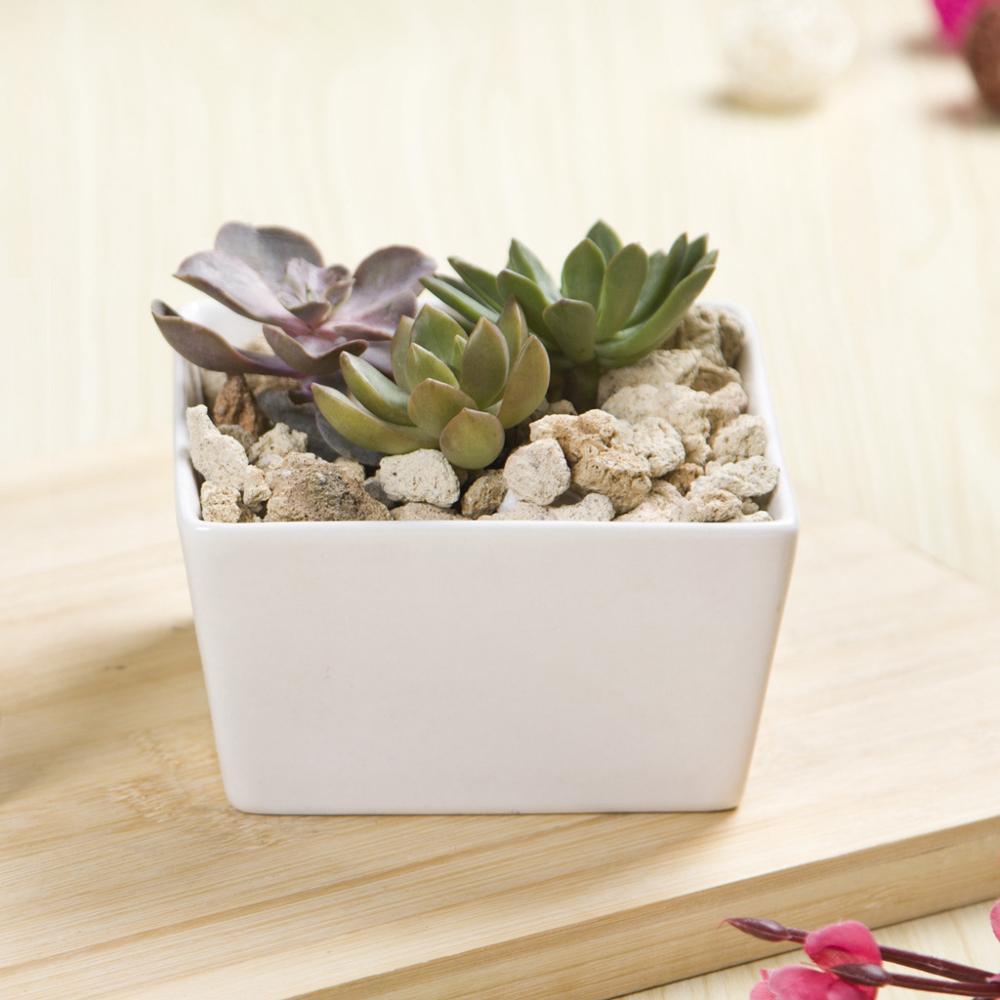 Square Edge Porcelain Ceramic Desk Pot