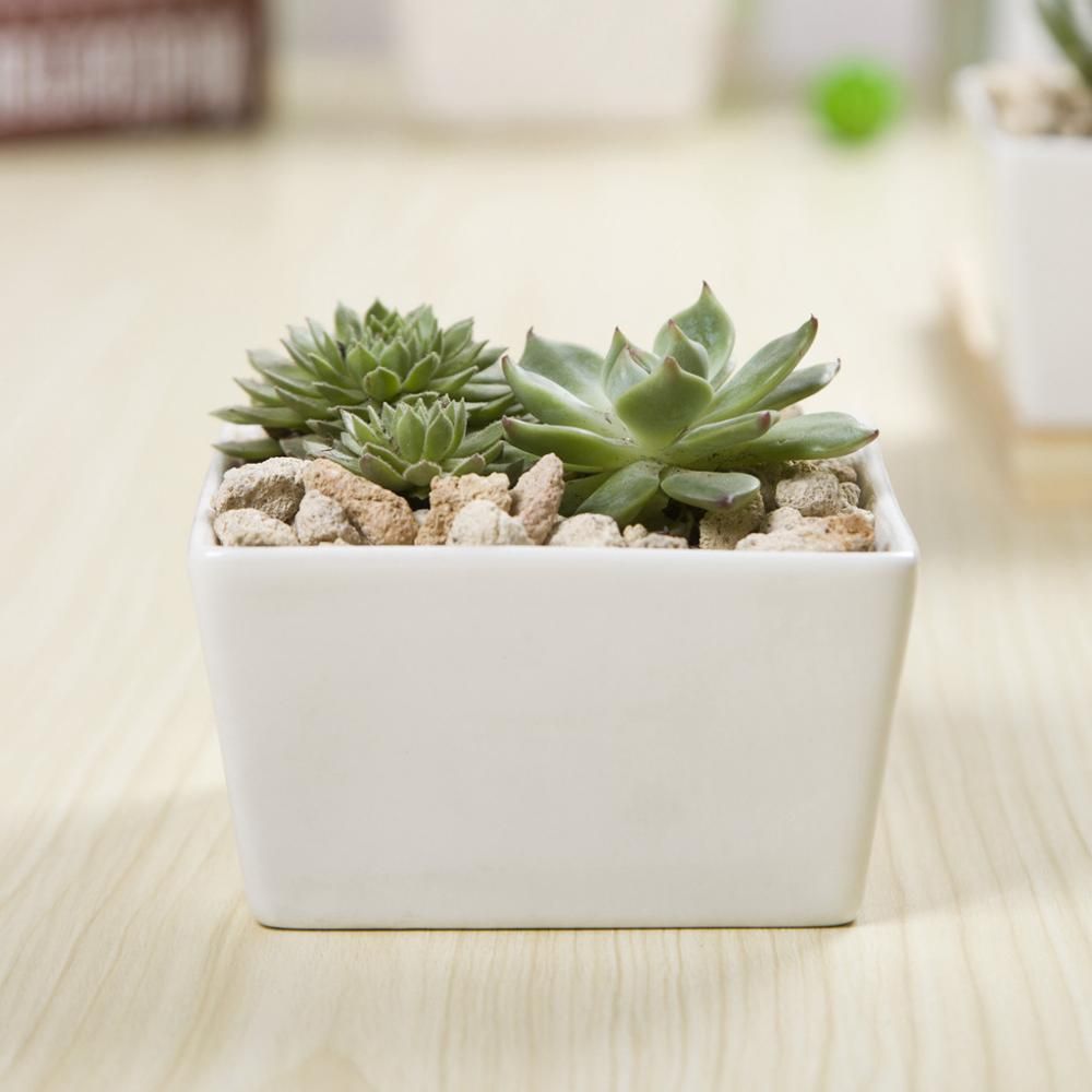 Square Edge Porcelain Ceramic Desk Pot