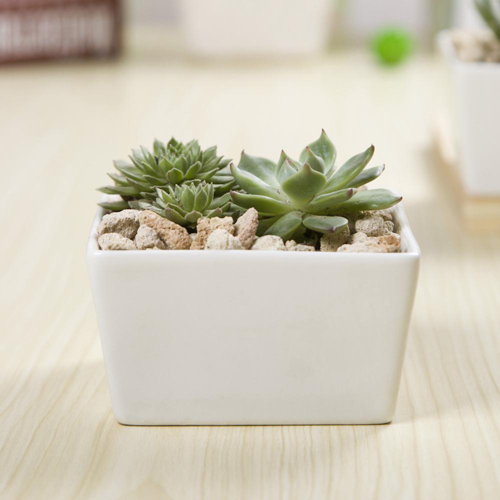 Square Edge Porcelain Ceramic Desk Pot