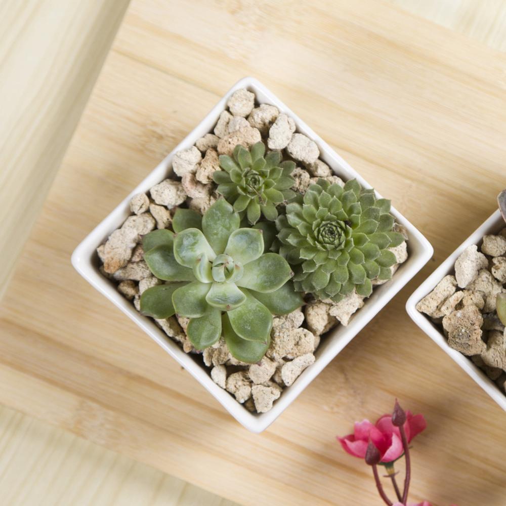 Square Edge Porcelain Ceramic Desk Pot