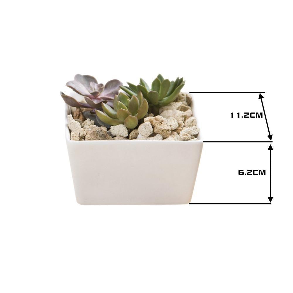 Square Edge Porcelain Ceramic Desk Pot
