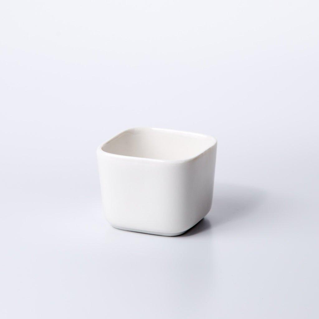 Token Size Square Succulent Porcelain Pot