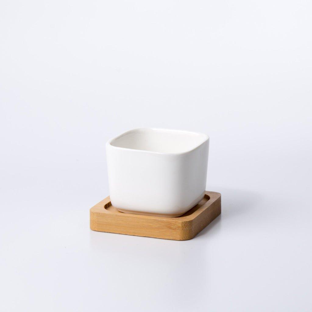 Token Size Square Succulent Porcelain Pot