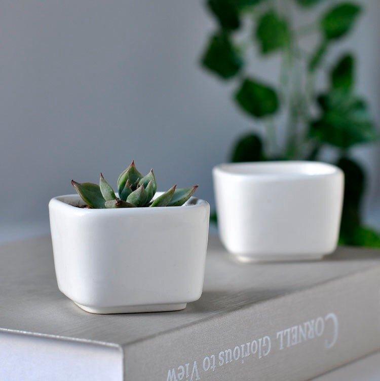 Token Size Square Succulent Porcelain Pot