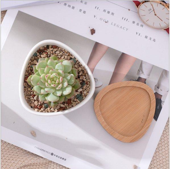 Token Size Triangular Porcelain Pot with Bamboo Saucer