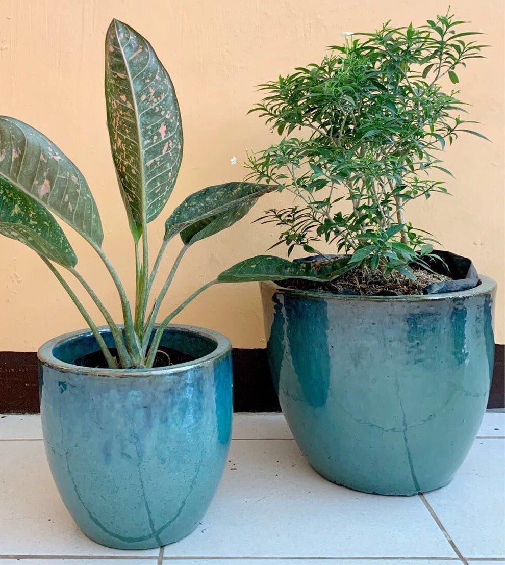Turquoise Round Vietnam Glazed Earthenware Ceramic Pot