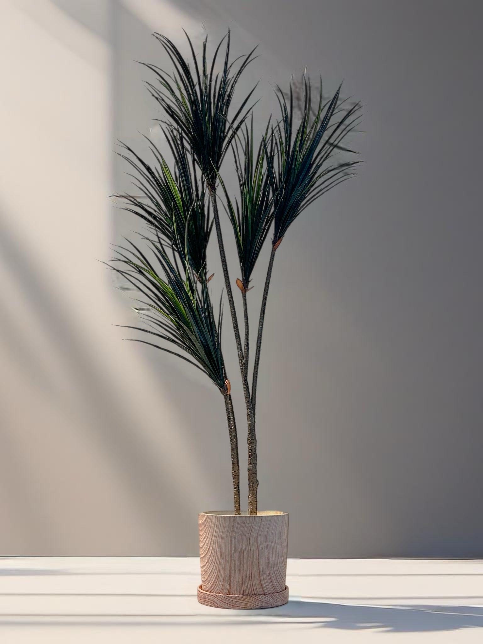 Artificial Dracaena Plant