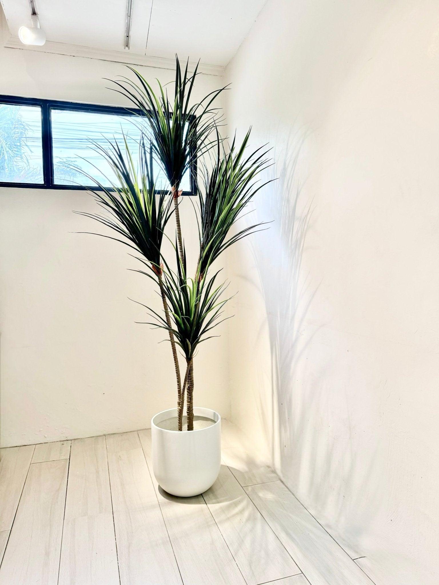 Artificial Dracaena Plant