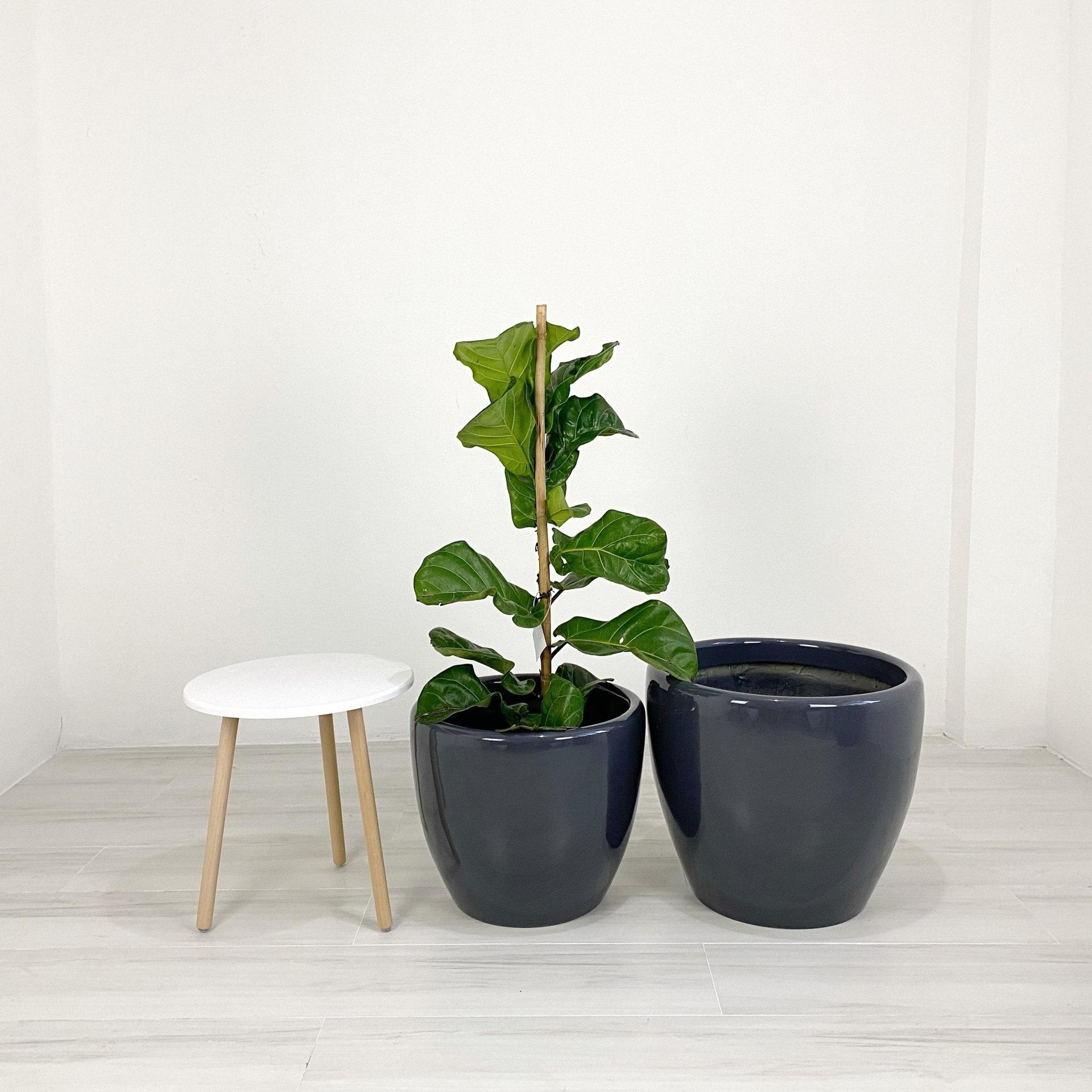 Venetian Round Fiberglass Floor Planters