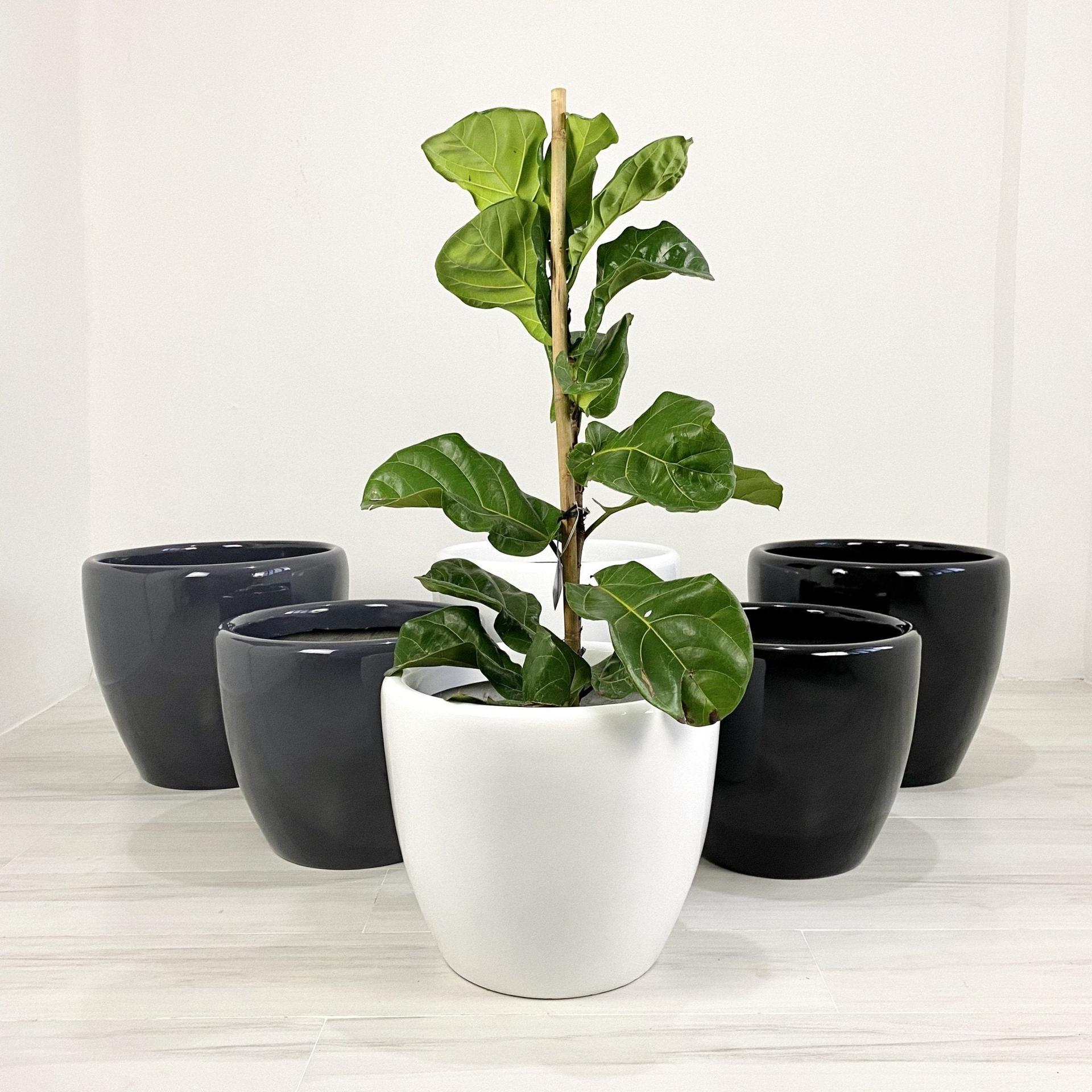 Venetian Round Fiberglass Floor Planters