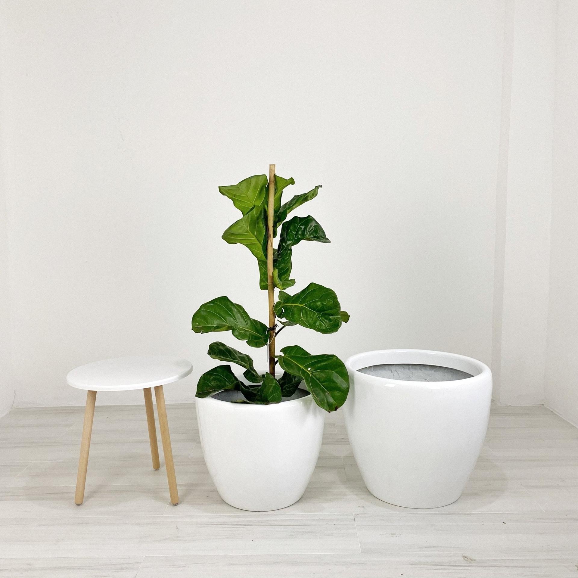 Venetian Round Fiberglass Floor Planters