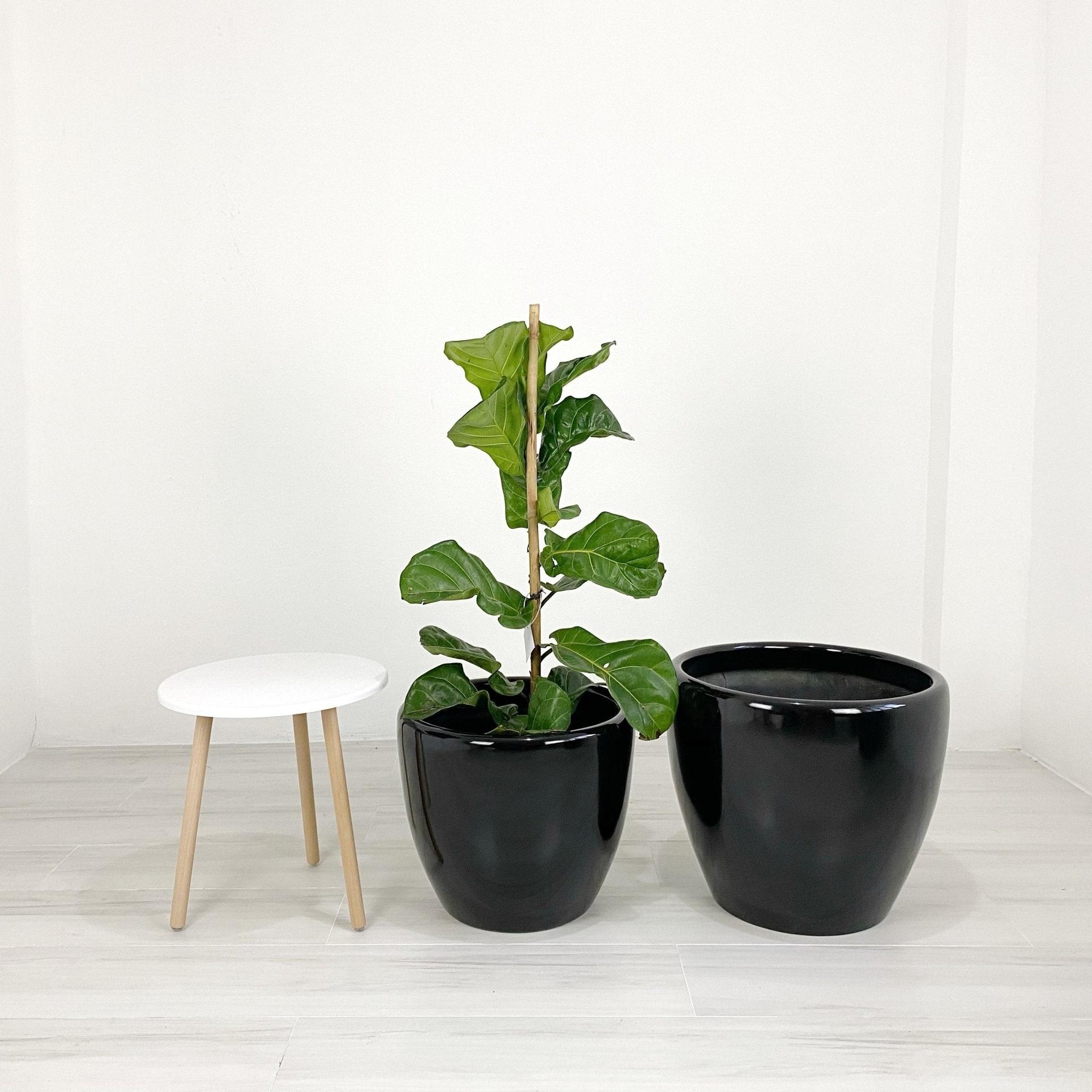 Venetian Round Fiberglass Floor Planters
