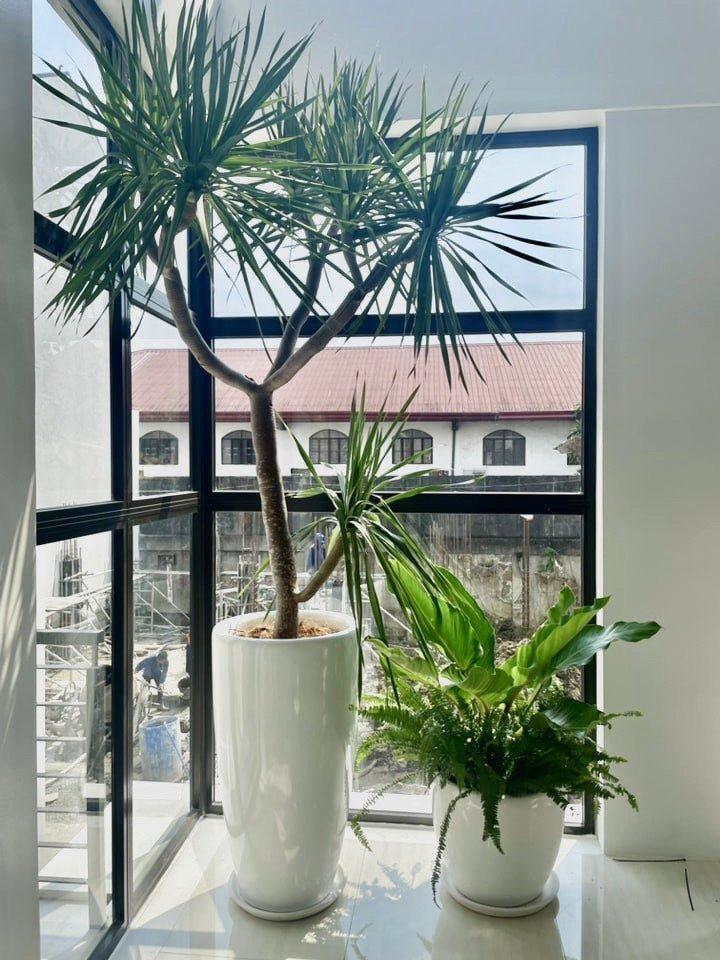 Venetian Tall Fiberglass Planter