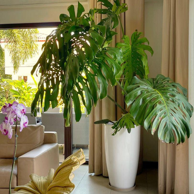 Venetian Tall Fiberglass Planter