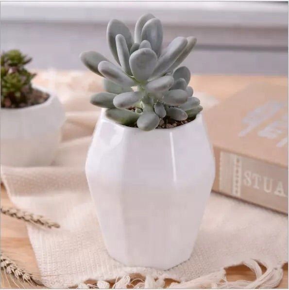 Octagon Porcelain Vase